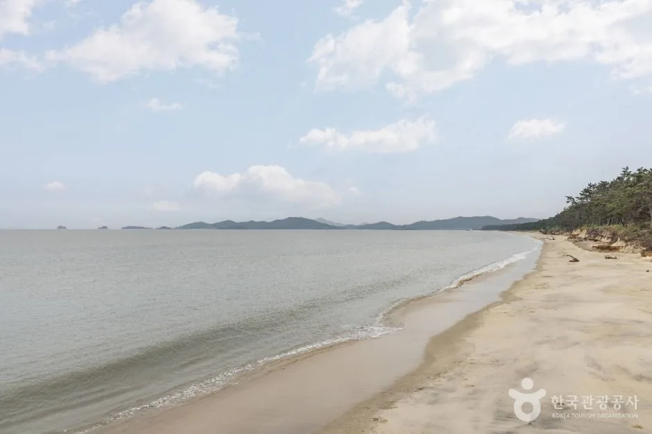 신안_증도 우전해수욕장 (4)