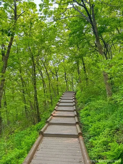 영천_보현산(영천) (2)