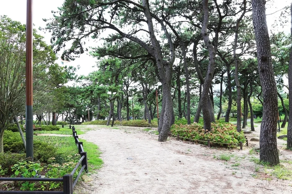 송림공원 (7)