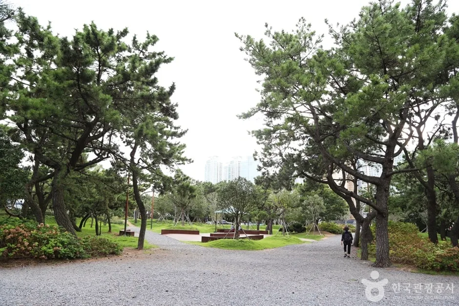 송림공원 (14)