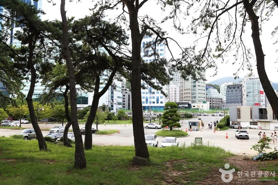 송림공원 (18)