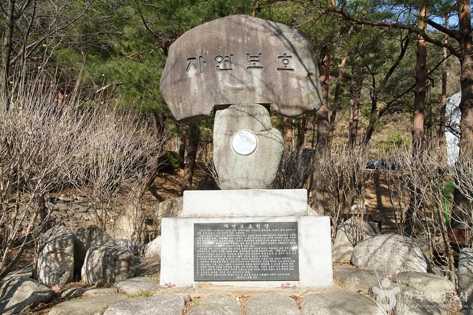 두타산 (8)