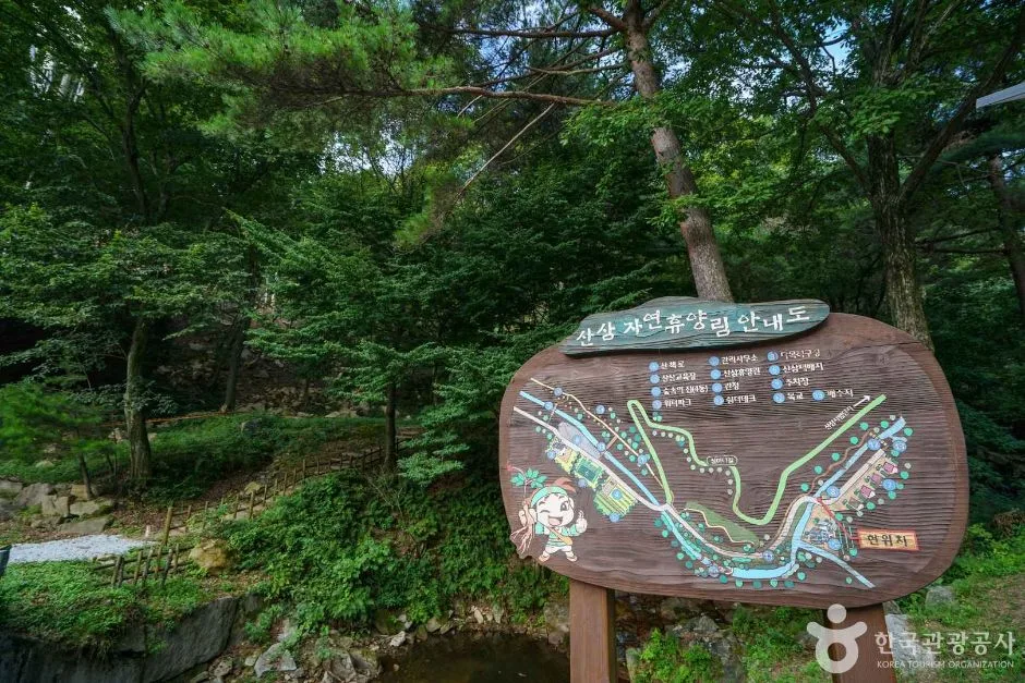 경남_함양_산삼자연휴양림 (6)