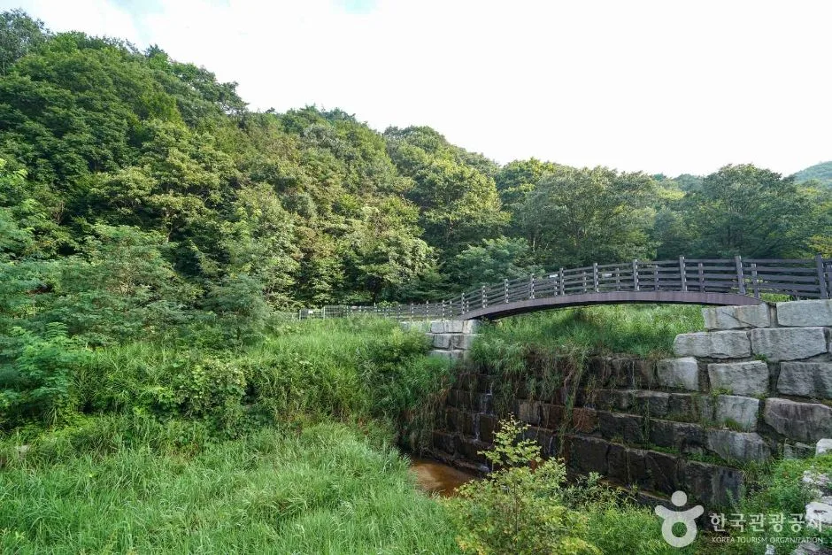 경남_함양_산삼자연휴양림 (4)