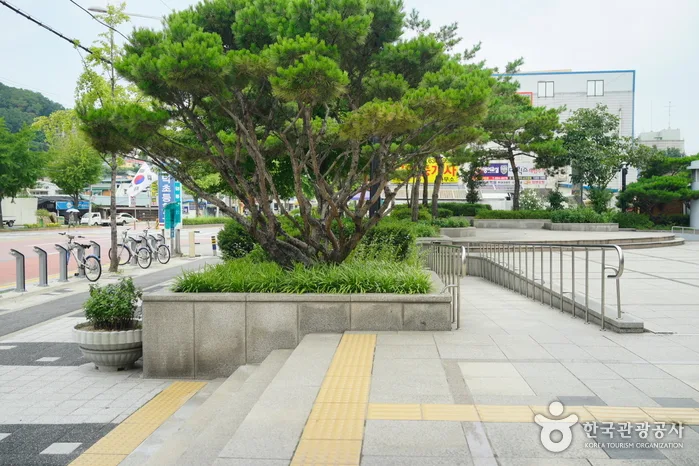 대전_대덕문화원 (1)