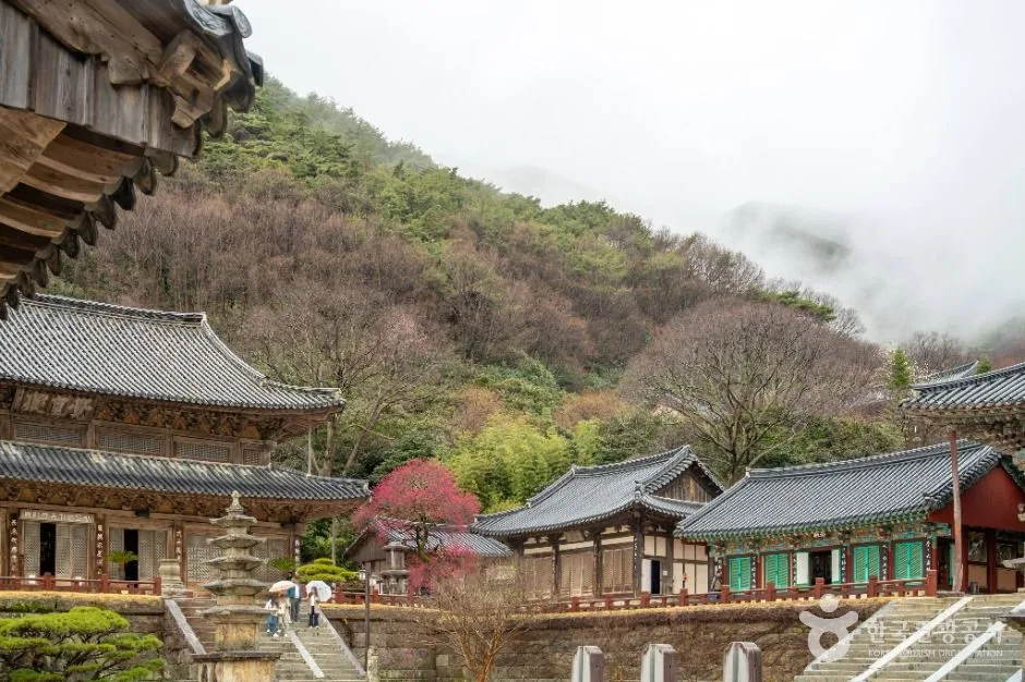 구례_화엄사 (3)