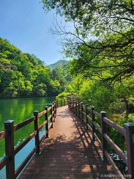 5월 작약 꽃 명소부터 청주·증평 가볼 만한 곳까지_연암지질생태공원_4-2