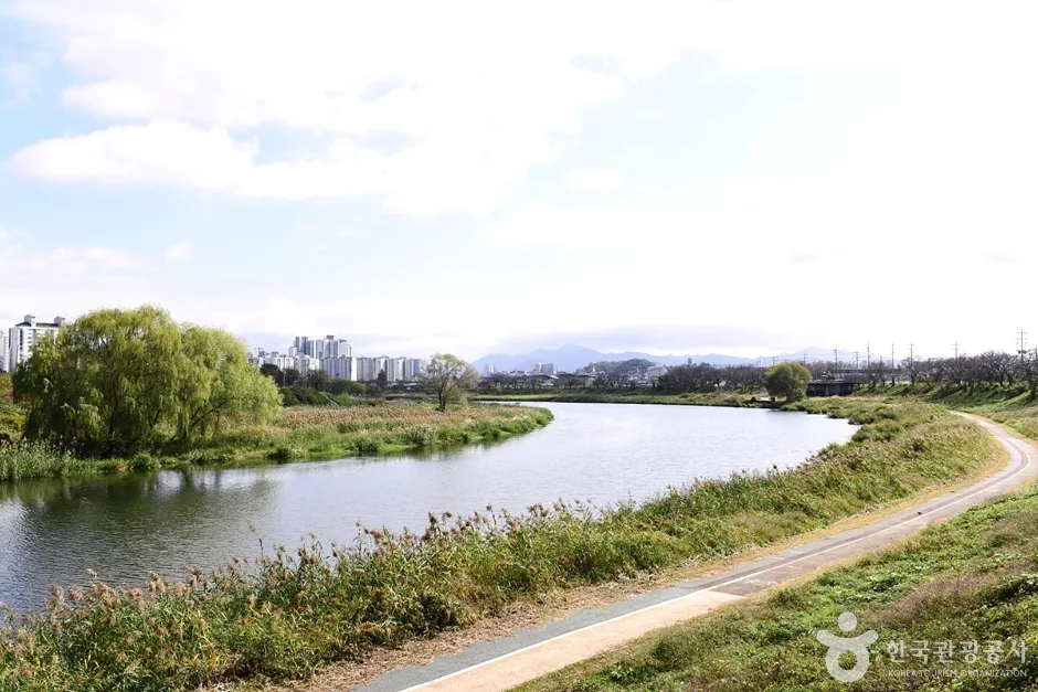 팔복동 천변
