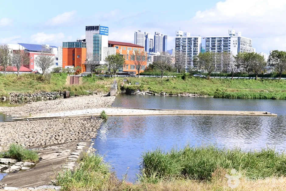 팔복동 천변 (3)