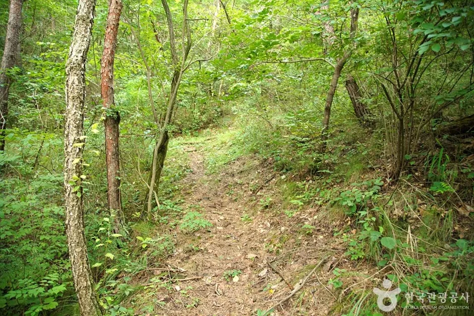 국지산 (18)