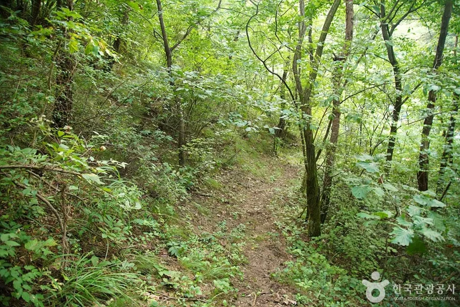 국지산 (02)