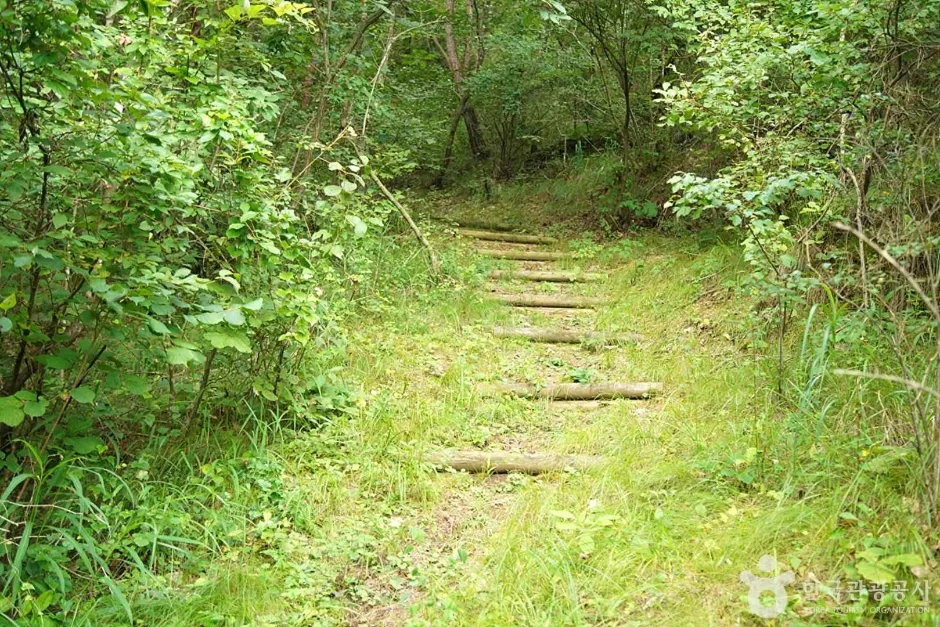 국지산 (17)