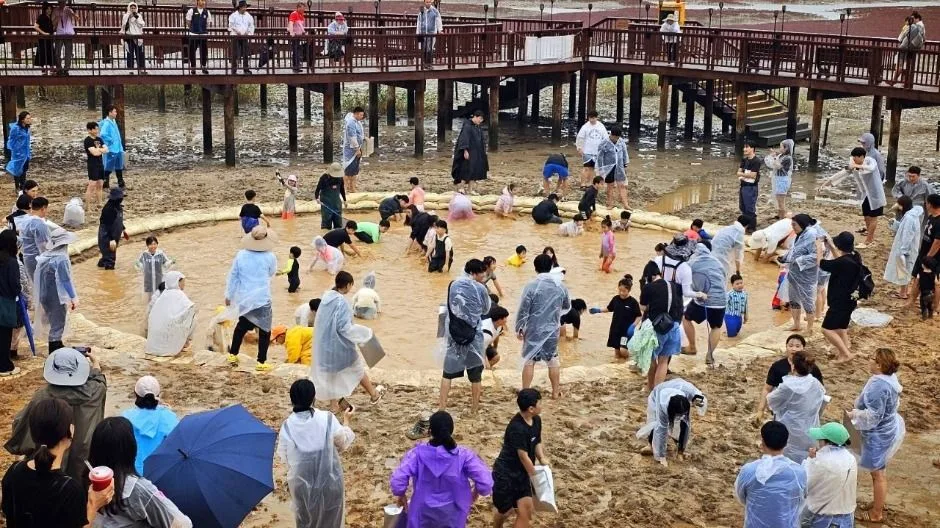 무안 황토 갯벌축제