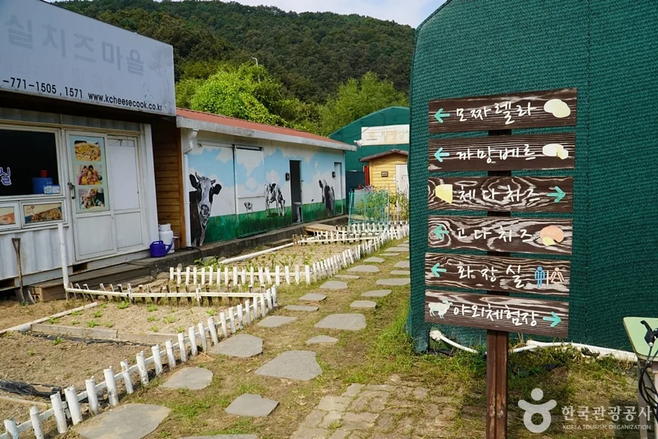 양평임실치즈마을 (2)