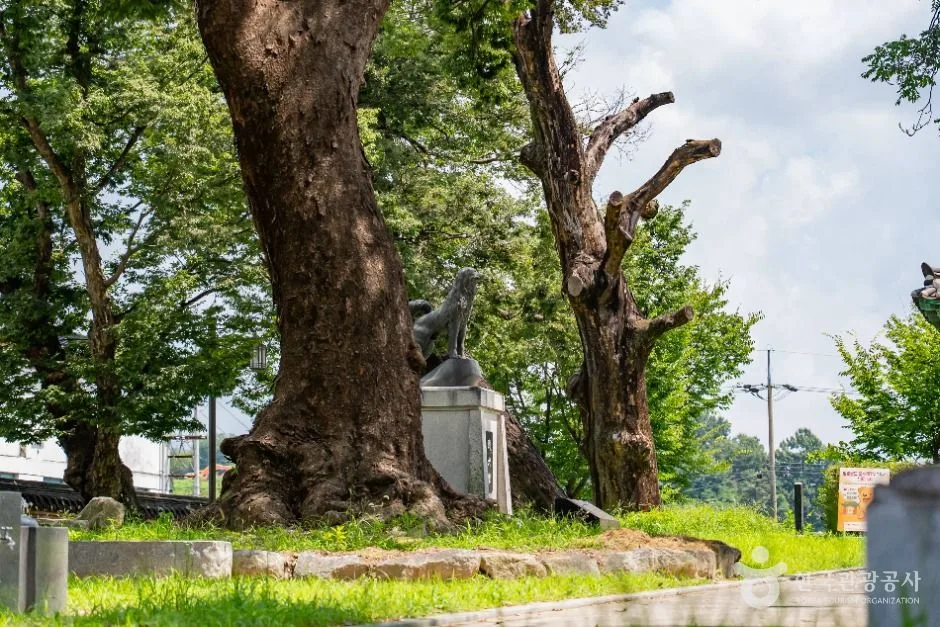 임실_의견비 (2)