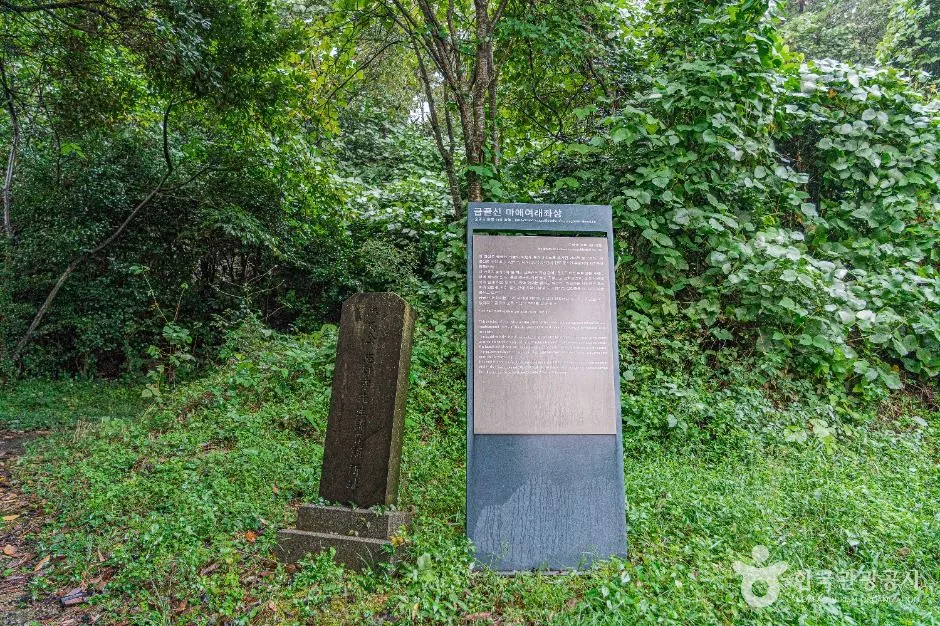 진도_금골산 (3)