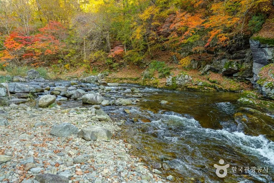 삼척_중봉계곡 (5)