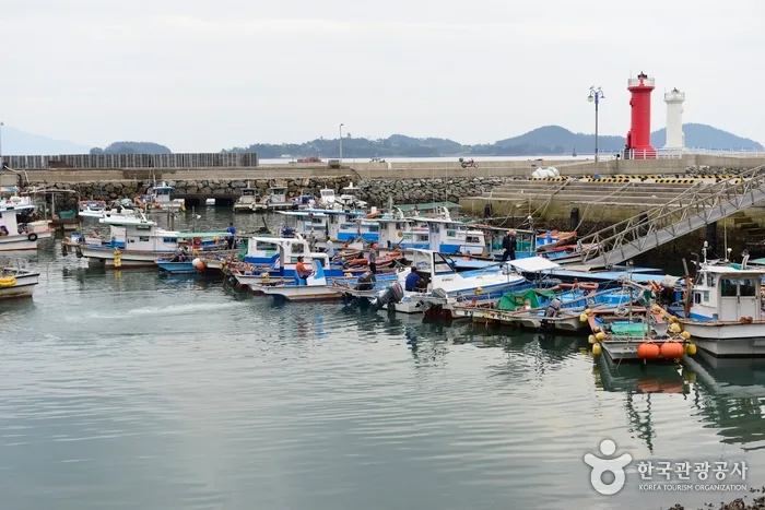 뗏목 타고 피라미 잡으며 더위사냥