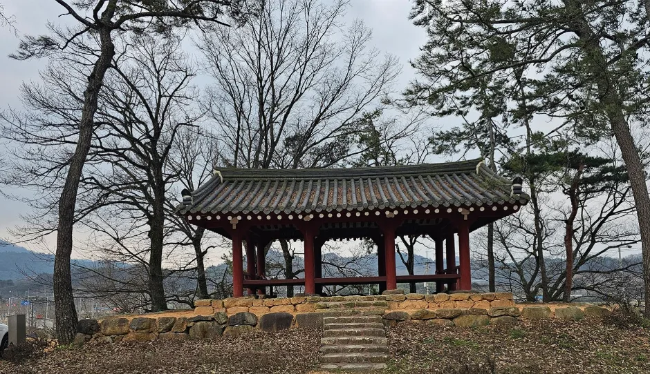 광주_양과동정 (5)