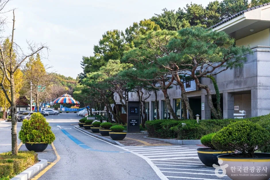천안상록리조트 (14)