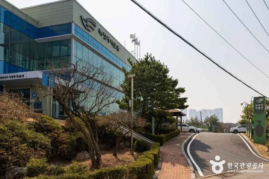 녹청자박물관