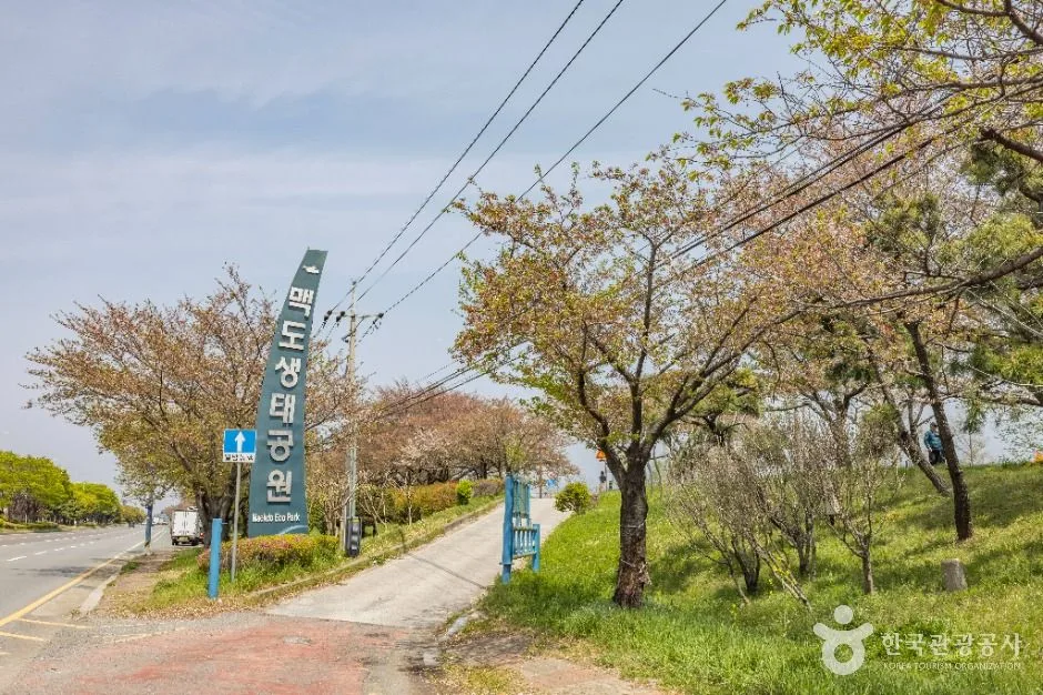 부산_맥도생태공원 (6)