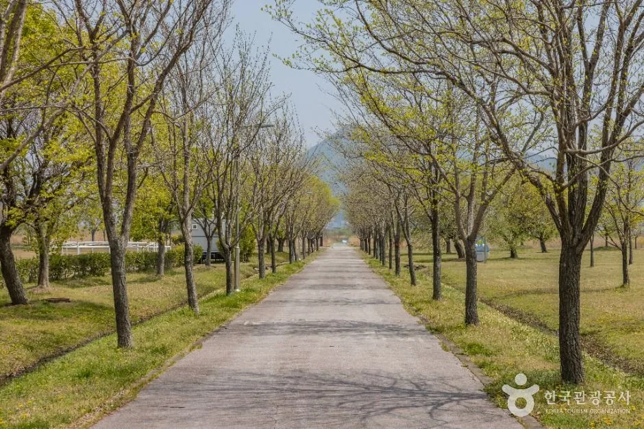 부산_맥도생태공원 (2)
