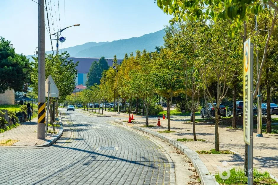 구례_자연드림파크(구례) (8)