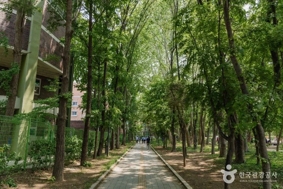 서울_양재근린공원 (2)