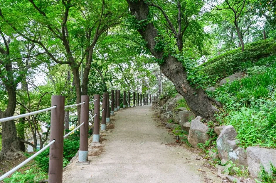 울산_학성공원 (2)