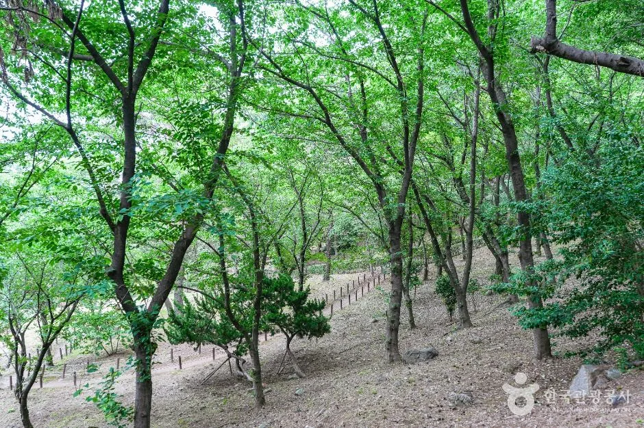울산_학성공원 (4)