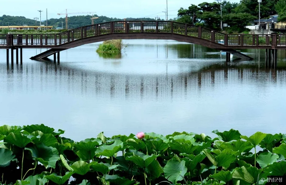 창녕_명덕생태수변공원 (2)