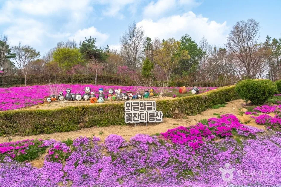 진안_진안 꽃잔디동산 (4)
