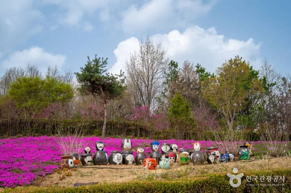 진안_진안 꽃잔디동산 (2)