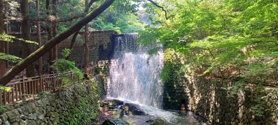 부산_부산 어린이대공원 (1)