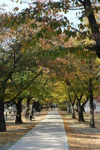 동촌유원지