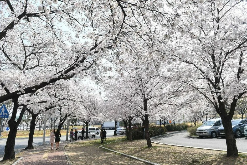 동촌유원지