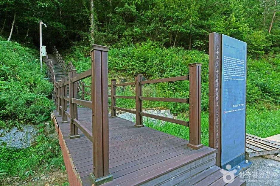 무주_오산리 구상화강편마암 (2)
