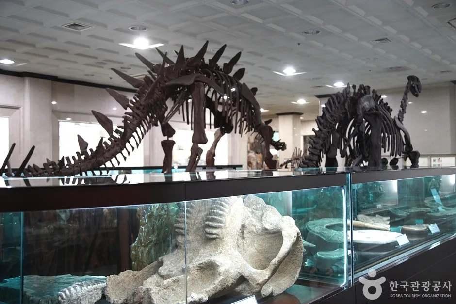 강원종합박물관 (6)