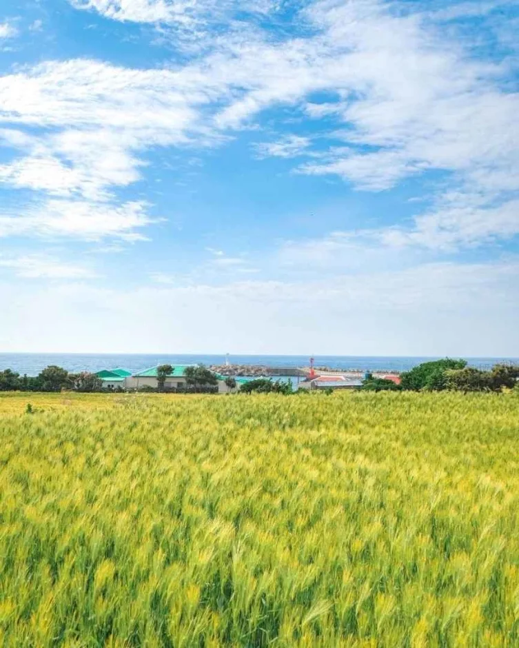 제주_서귀포_가파도 소망전망대_4