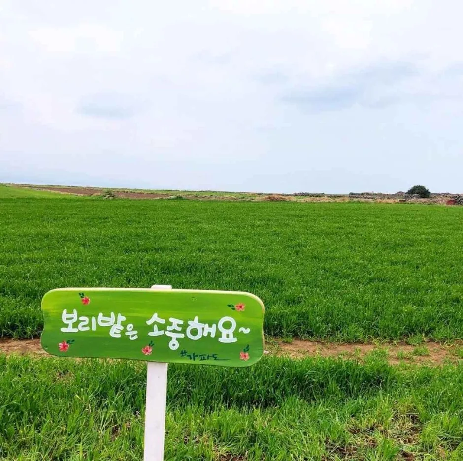 제주_서귀포_가파도 소망전망대_5