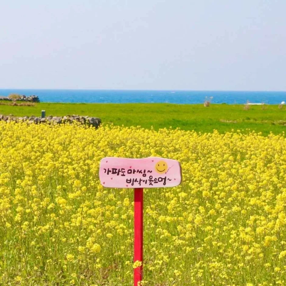 제주_서귀포_가파도 소망전망대_7