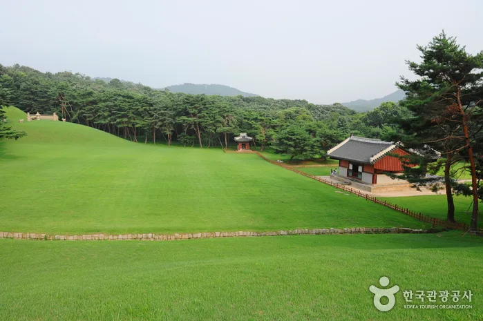 유네스코 지정 문화유산 안을 거닐다