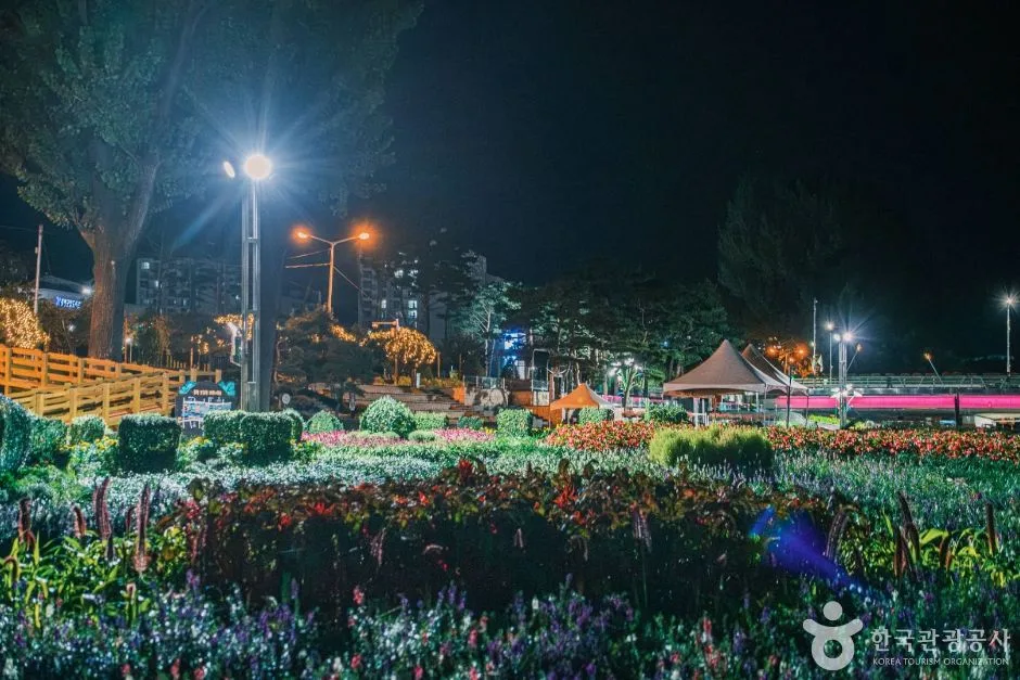 보강천 미루나무숲