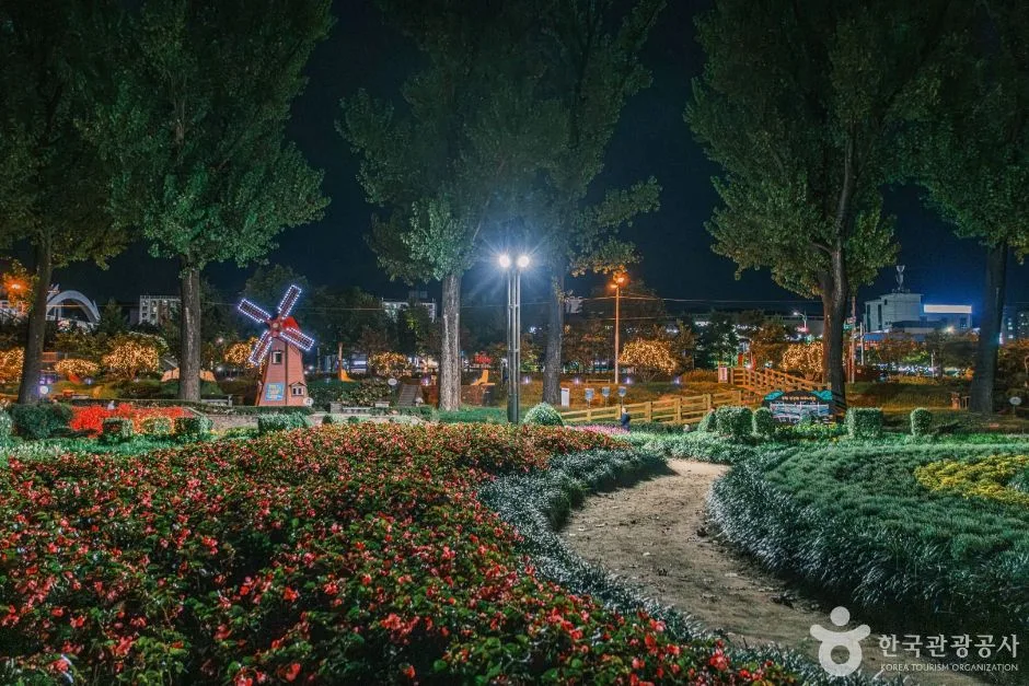 보강천 미루나무숲
