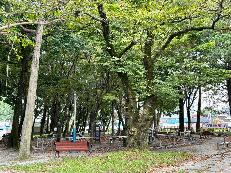 사천_임내숲 어린이공원 (5)