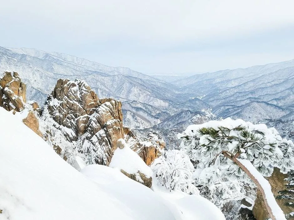 양양_설악산 흘림골 (6)