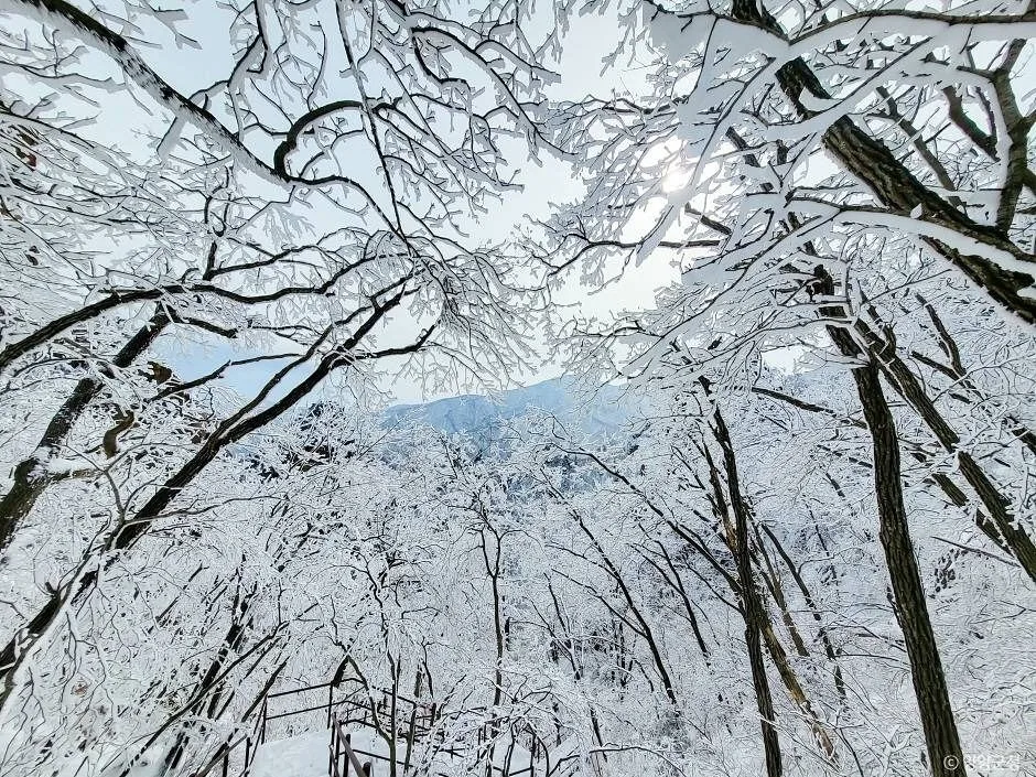 양양_설악산 흘림골 (7)