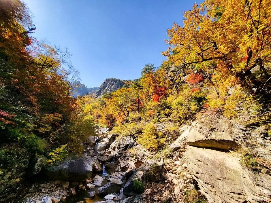 양양_설악산 흘림골 (5)