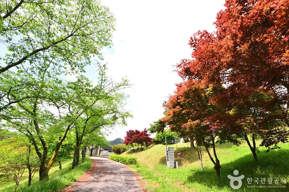 전남_장성_장성호 문화예술공원 (5)